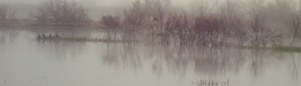 rio niebla